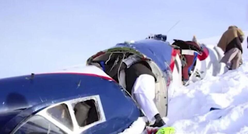 Несколько стволиков у каких. Ствол дуба толще ствола березы. Несколько стволиков у каких. Растительность несколько стволиков. Степень одревеснения стебля.