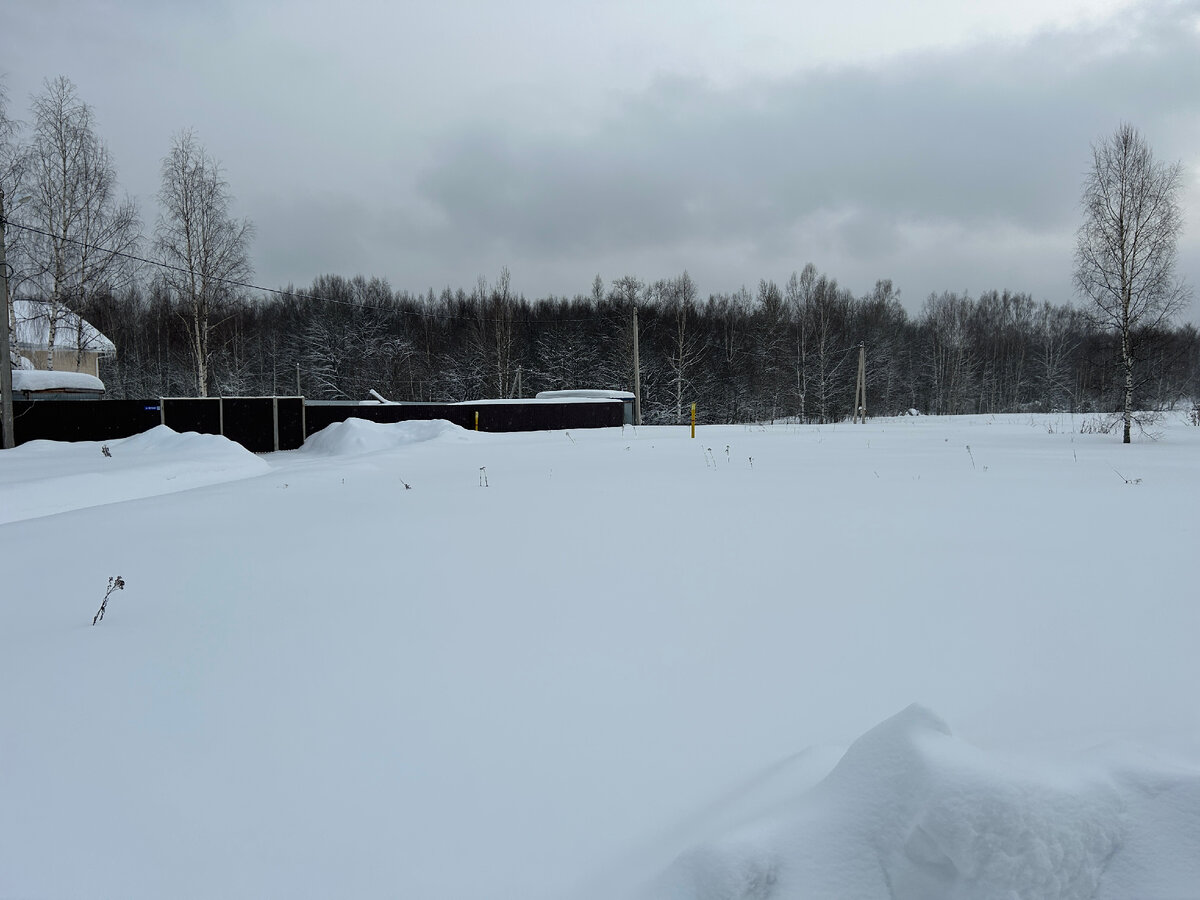 Усадьба родное ересино. Лето деревня палисад. Валерий семин деревня деревенька. Лето деревня тверская область. Заброшенные деревни селигера.