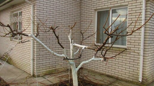 подшить джинсы. обрезать низ видео. Sony vegas как обрезать видео. как обрезать видео на ноутбуке. обрезать низ видео.