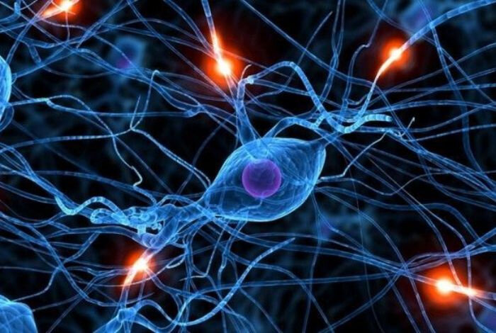 Что из перечисленного является внешним эффектом. Что из перечисленного не относится к новой экономической политике. Что из перечисленного является внешним эффектом. Что является субъектом. Субъектами рф являются.