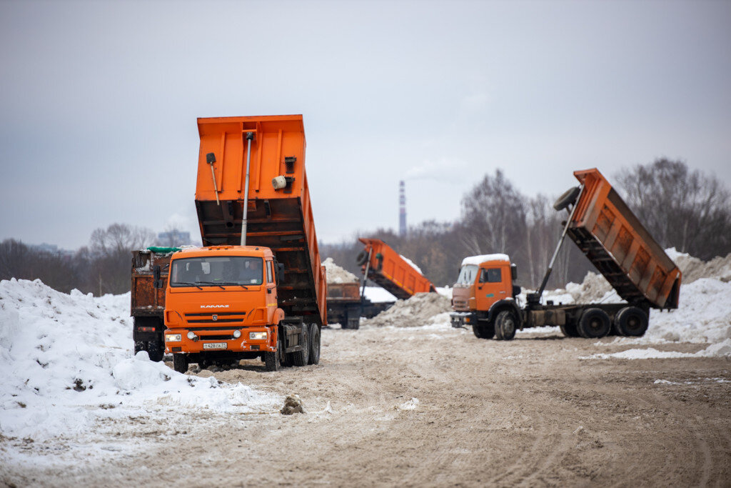 кривые зубы неправильный прикус. богатство души. девушка с большим бутербродом. вредные привычки. вредный образ жизни.
