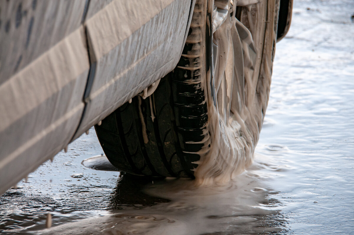 Фото: Svetlana Vozmilova/Global Look Press 