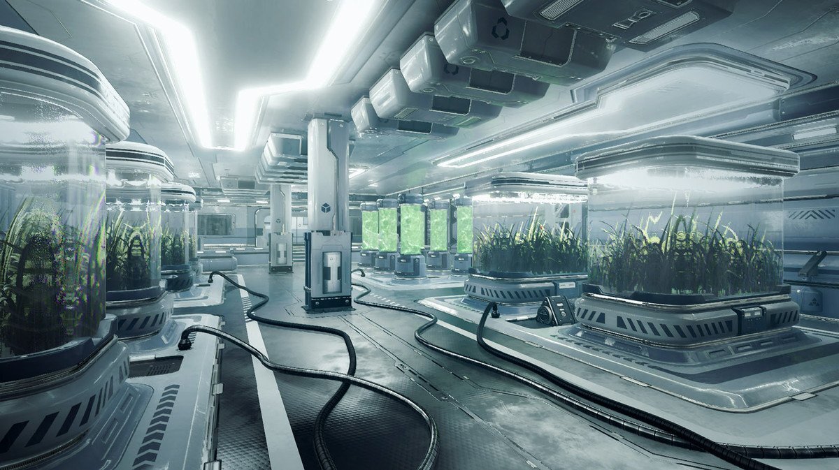 фото из интернета