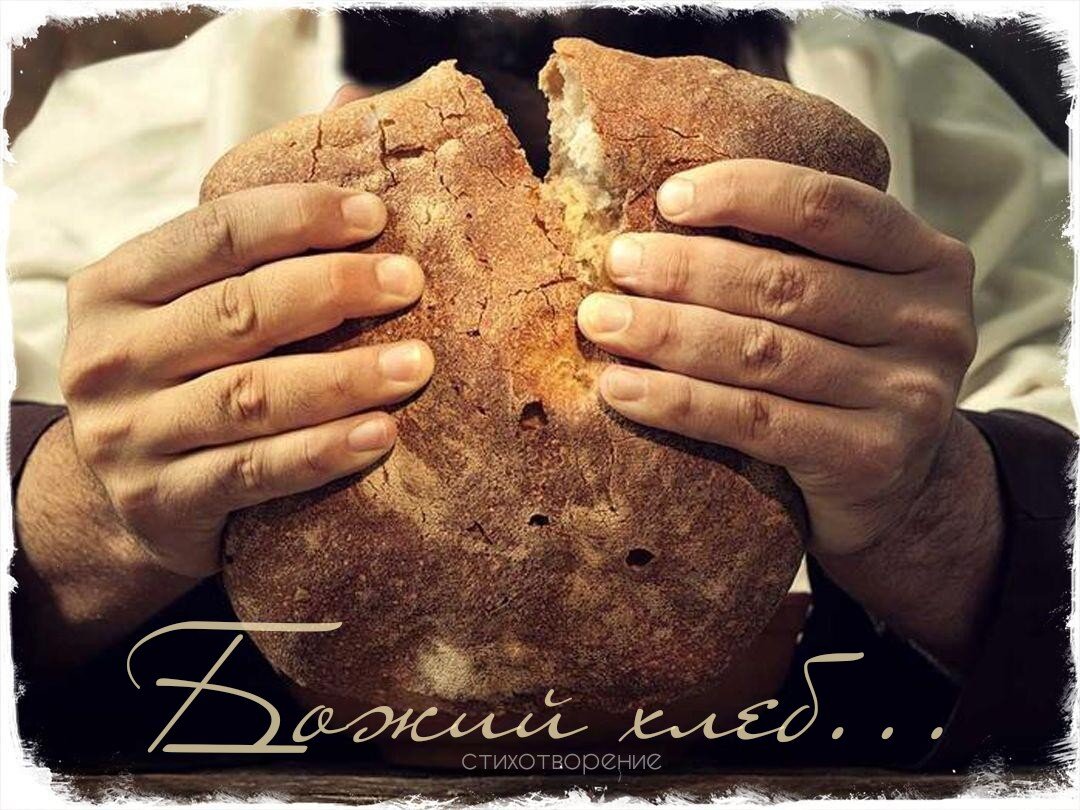 Хлебов кирилл. Устюг хлеб булочная. Ёжик товарный знак. Устюг хлеб булочная. Ёжик товарный знак.