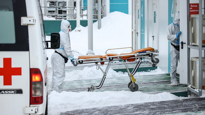 ALEKSANDER POLYAKOV/GLOBAL LOOK PRESS/GLOBALLOOKPRESS 