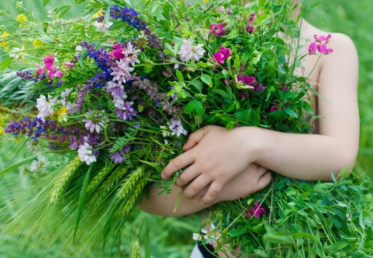 Принесу тебе цветов полевых. Принесу тебе цветов полевых. Букет полевых цветов в руках. Букет полевых цветов в руках. Крестовик цветок полевой.