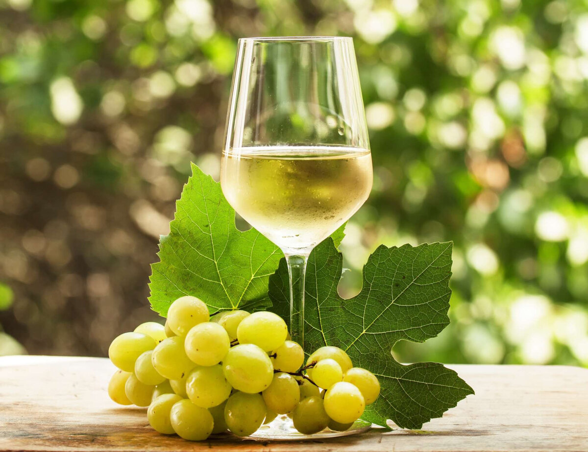 Broadleaf sauvignon blanc