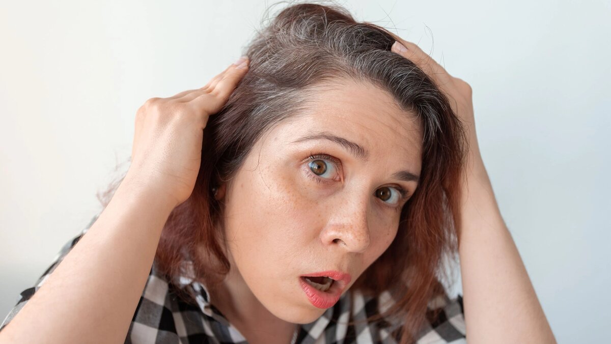 Лысая мужская голова. Лысая голова мужика. Плешивая голова. Фото лысых мужчин. Мужская голова три четверти.