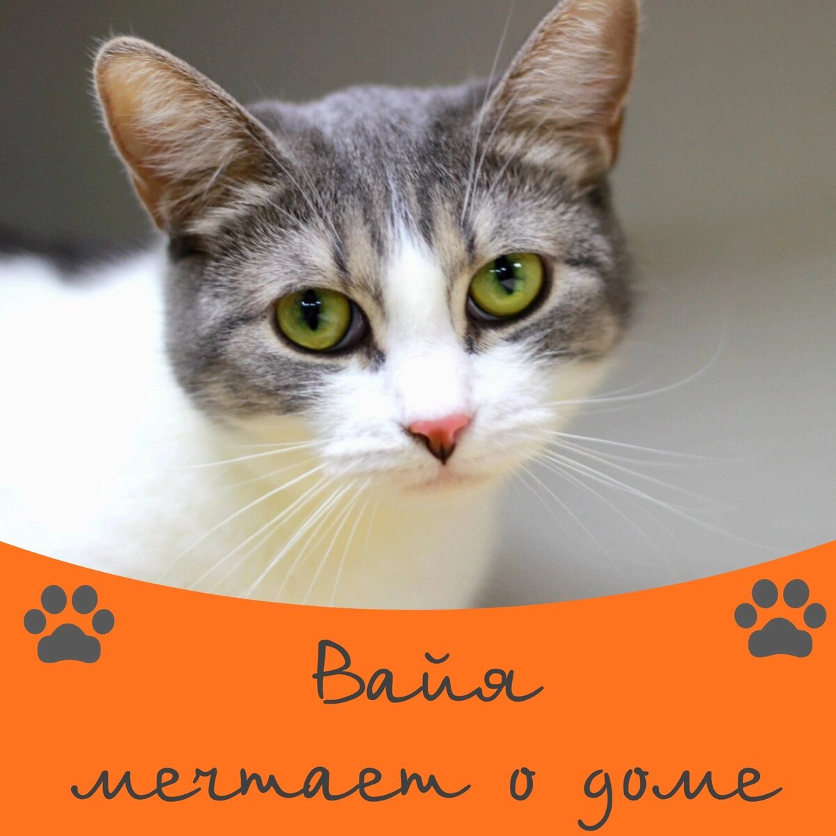 Бог дает человеку. Когда мы вместе цитаты. Цитаты про людей которые далеко. Верь в себя. Красивые жизненные картинки.