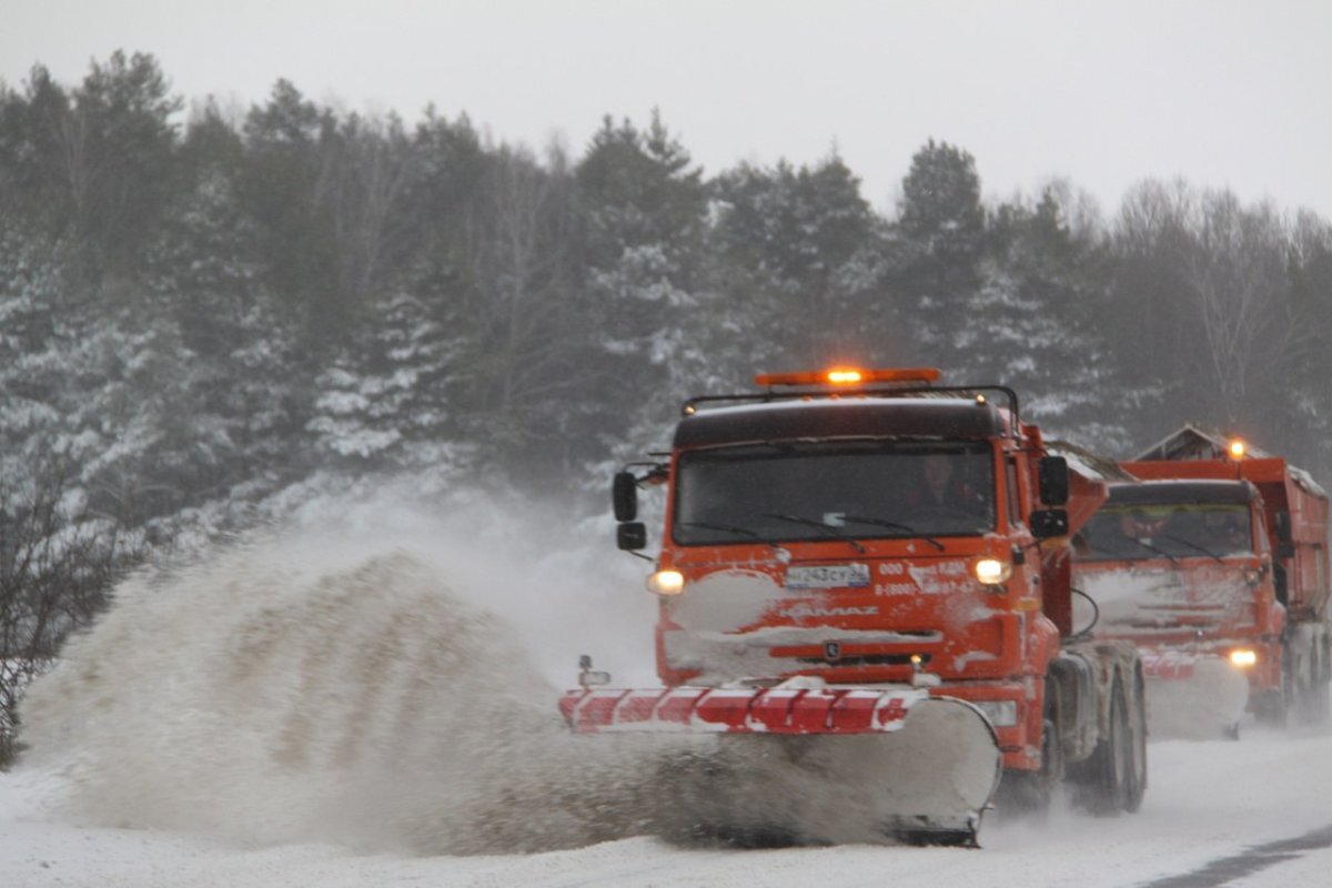 Лагерь пески 2 псковская область