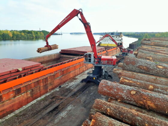     Фото: Segezha Group