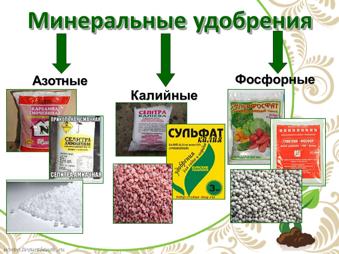 Какие удобрения относятся к органическим. Азотно фосфорное удобрение. Азотно-фосфорно-калийное удобрение. Азотные удобрения фосфорные удобрения калийные удобрения. Минеральные удобрения азотные фосфорные калийные таблица.