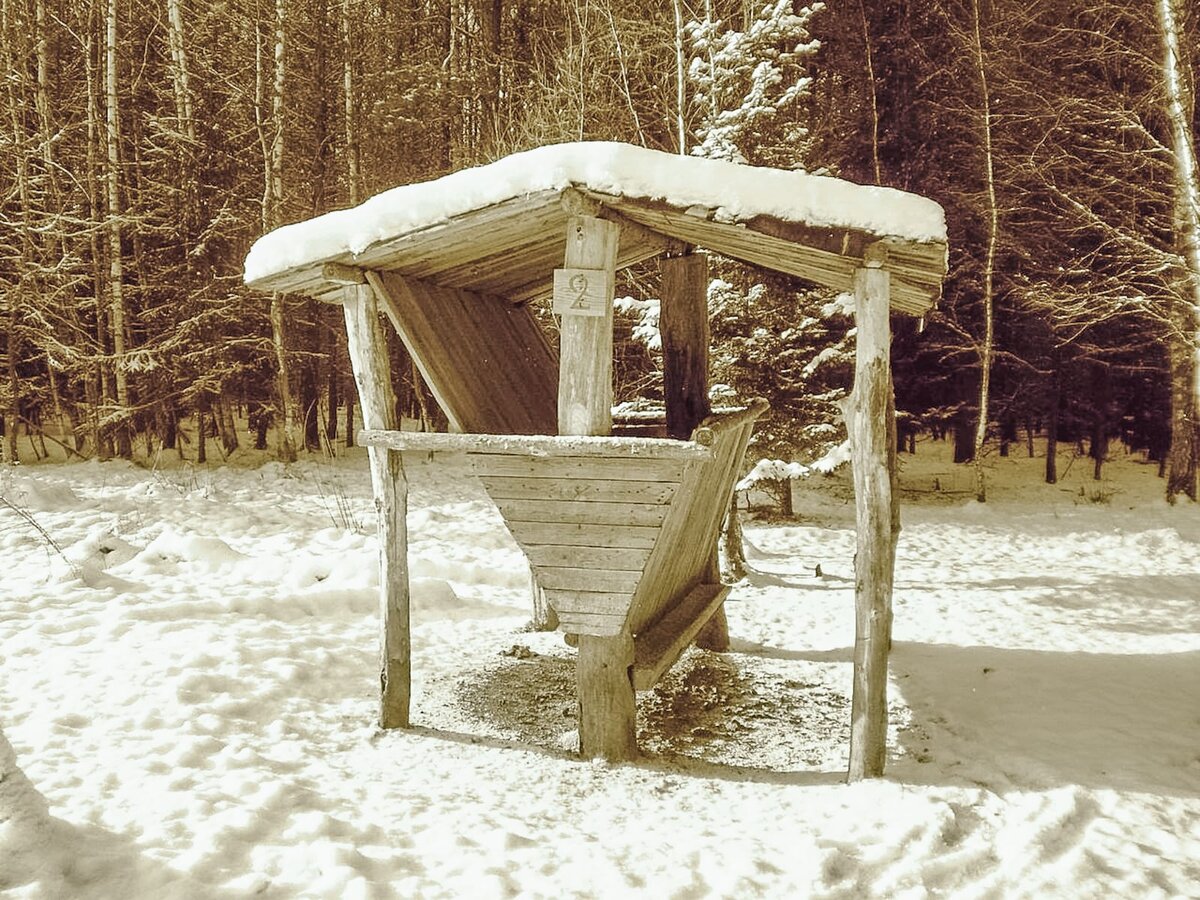 Лесная кормушка для зверей.