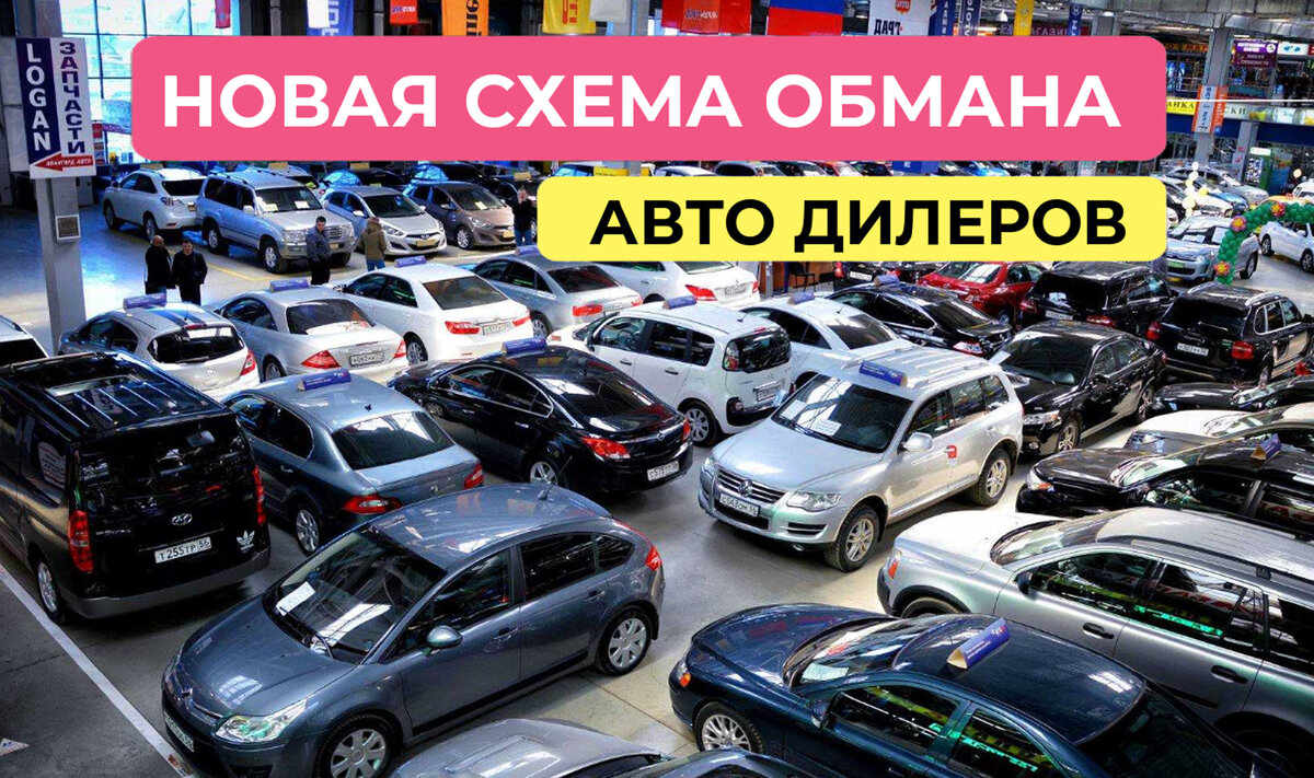 Новая схема обмана дилеров, при продаже новых и подержанных машин | 🚨WEB  AUTO - все про автомобили🚨 | Дзен