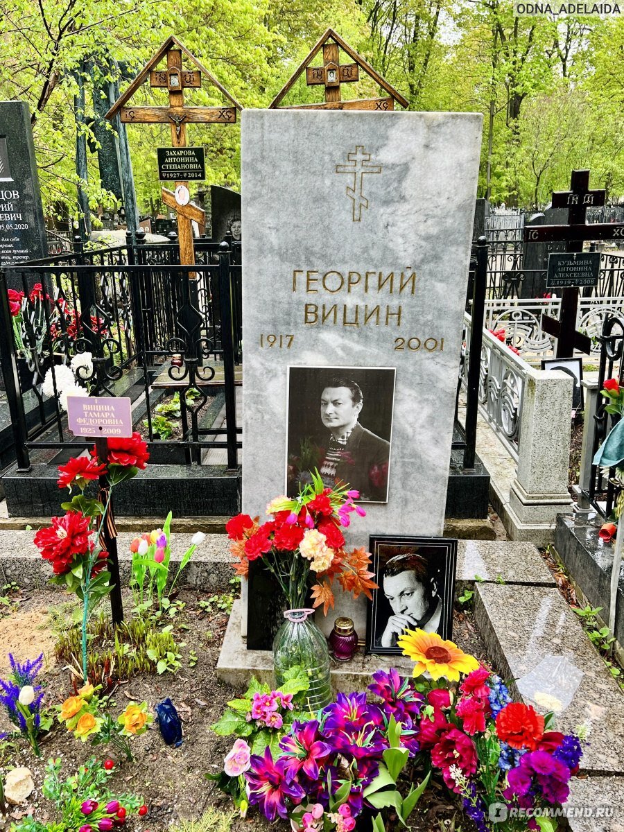 Вицин воевал или нет. Георгий вицин в молодости. Георгий вицин трус. Вицин воевал или нет. Георгий вицин роли.