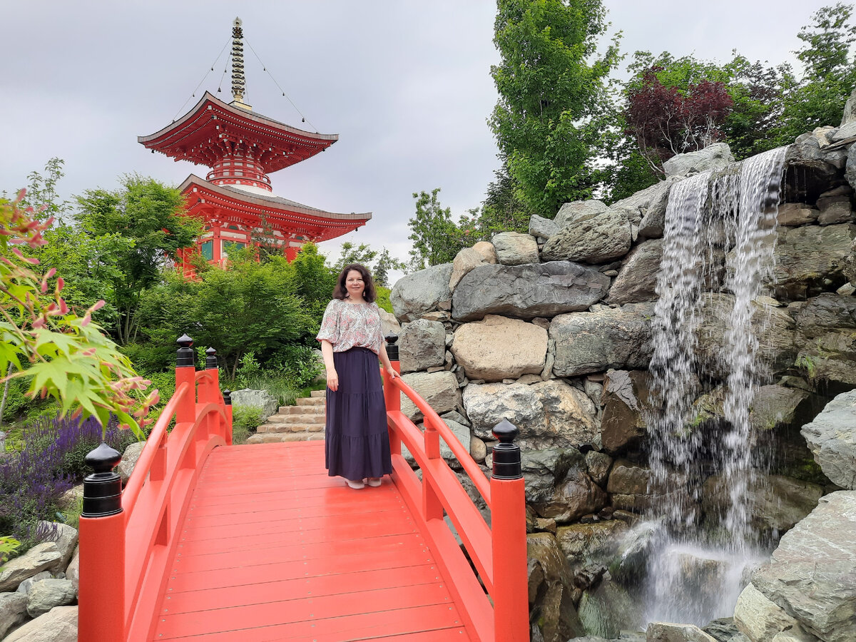 «ночь в лесу».