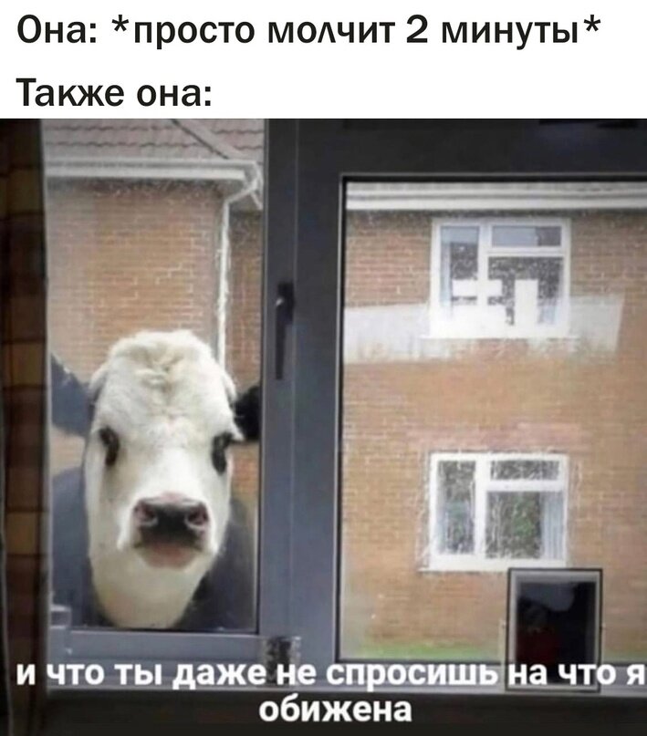 грустный якубович мем. мем а он выйдет. заходит и сразу выходит. солевая сова мем. выйди мем.