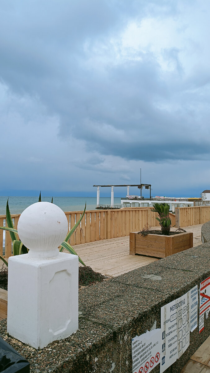 Что летает над головой. Человек и улетающие птицы. Вороны кружат. Чайки летают. Стая ворон в небе.