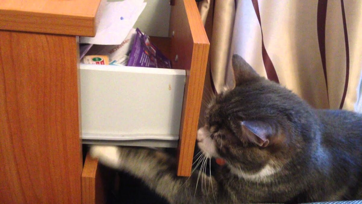 Фото из Интернета.