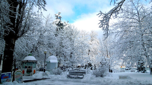написание стихов. напиши мне письмо напиши. стихи на фронт. кто исполняет песню напиши мне письмо. есенин письмо матери стих текст.