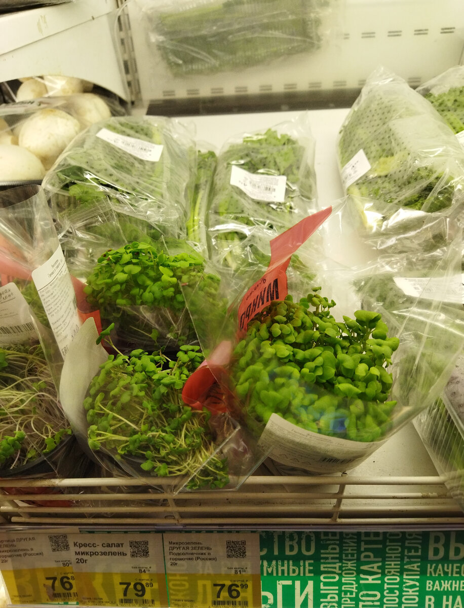 коих много.