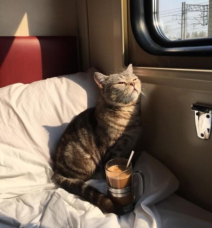 Не Попутчики