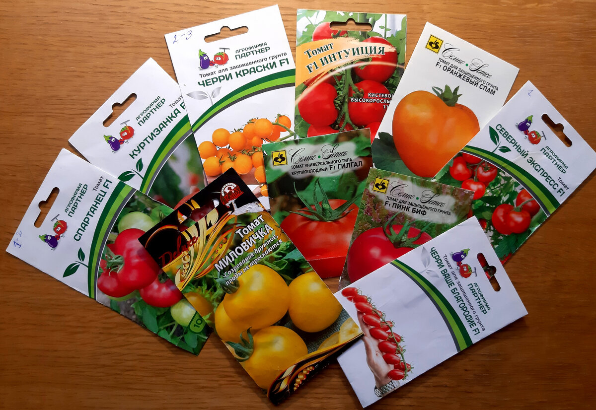 Фото автора.