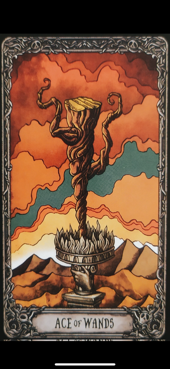 Что может быть знаковым. Что может быть знаковым. Запрещающие знаки. Товарный знак. Зоны действия знаков дорожного движения.