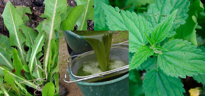 Взято из открытых источников