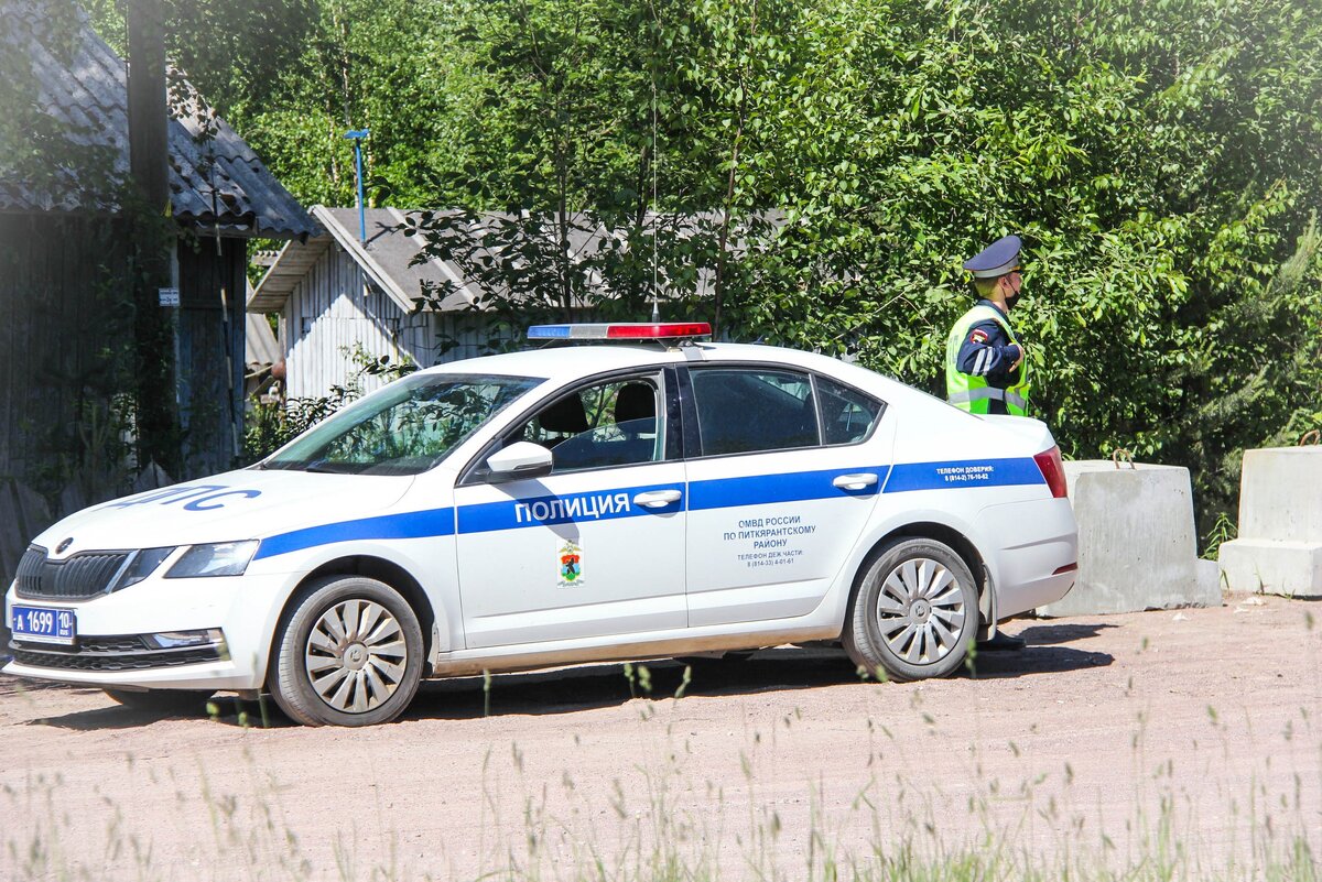 ГЛАВНЫЕ НОВОСТИ НЕДЕЛИ: открытие «Ладожской», страшная авария и новые счета  за свет | Столица на Онего - новости Петрозаводска и Карелии | Дзен