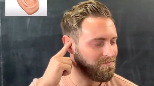 Lnn сокращение в анатомии