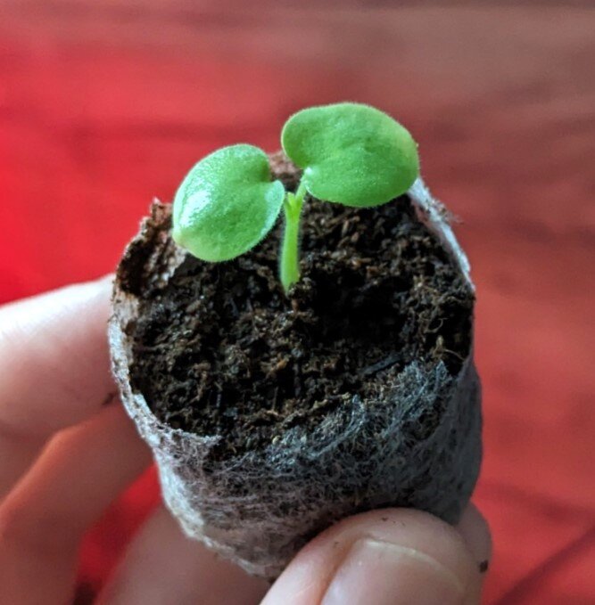 Статья 2 140. Возраст с которого наступает административная ответственность. Статья 140 ук рф. Возраст с которого наступает административная ответственность. Кодекс нижегородской области об административных правонарушениях.