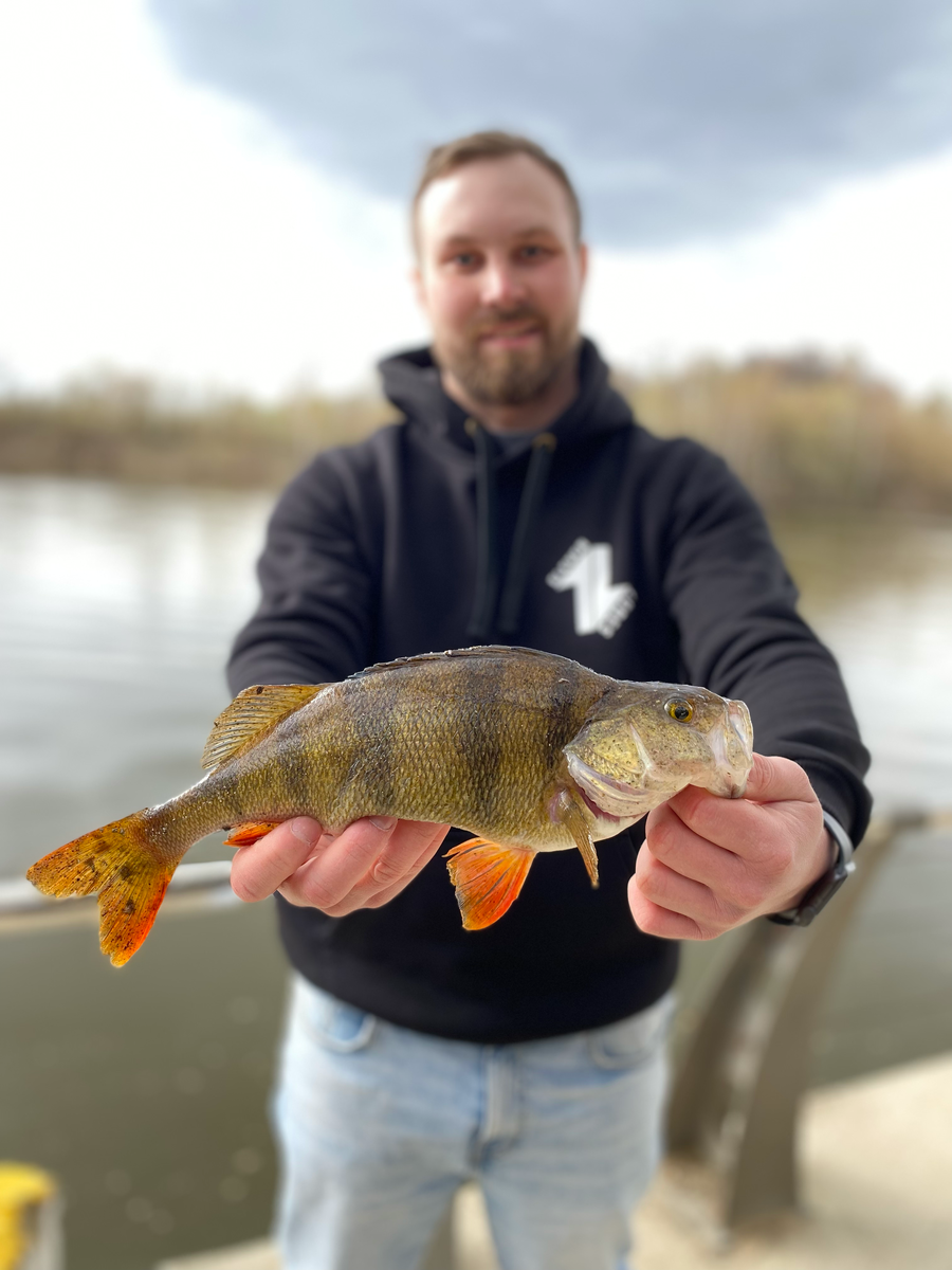 Пойман на Eleven Lures MicroTrap 1.5