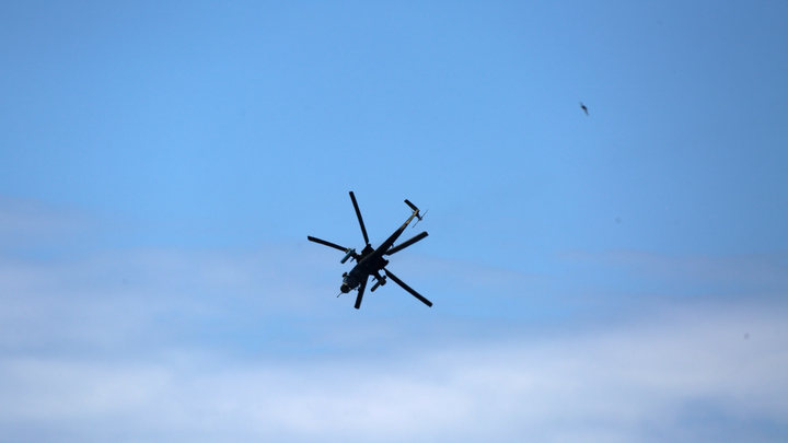 © NIKOLAY GYNGAZOV/GLOBAL LOOK PRESS/GLOBALLOOKPRESS