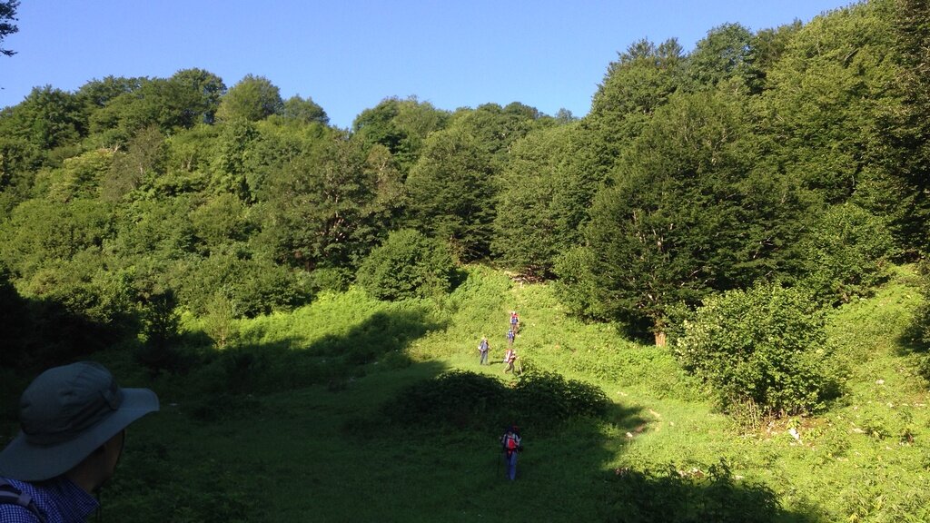 Группа ничего не подозревающих туристов движется к опасному месту.