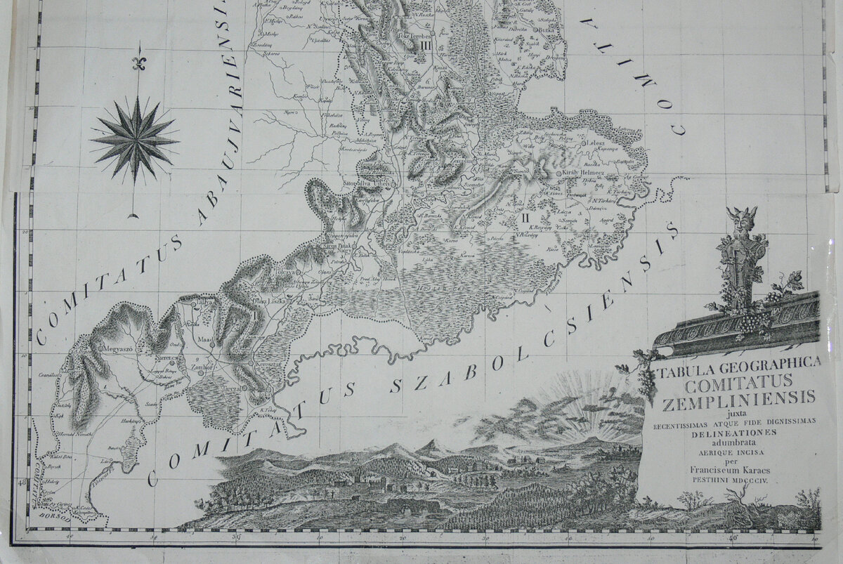 Токайские вина стали широко известны в Европе много столетий назад. Польские короли увлекались венгерскими винами, начиная с 16 века. Популярность токайских вин в Европе была настолько велика, что их начали фальсифицировать. И чтобы отчасти снять остроту этой проблемы  венгерский князь и борец за независимостьь Ференц II Ракоци предпринял первую попытку классификации токайских виноградников. В 1700 году были определены  все «гран крю» и терруарно значимые участки холмов, и до сих пор на Токае руководствуются этими наработками. 
Токайские вина, называвшиеся в России просто «венгерскими винами», имеют у нас очень давнюю историю. В XVII веке они попадали в Московию как подарки от иностранных послов и, пожалуй, не были обычным питием на столах русских царей. В конце века были развернуты первые официальные международные торговые связи, налажены способы бартерной торговли и определены способы денежных расчетов с заморскими купцами. Наверное, тогда стало несколько проще приобретать драгоценные сладкие вина, к которым уже успели привыкнуть польские короли еще за два века до этого. Особенную активность в торговле токайскими винами проявляли еврейские и греческие купцы.

Известно, что протестант и борец за независимость Венгрии Ференц II Ракоци, стремясь найти союзников в своей борьбе против Габсбургов, отправлял в качестве подарков монархам соседних стран токайские вина. Был среди получателей этих подарков и Петр Первый. Русскому царю вино понравилось и 17 апреля 1714 года он отправил грека капитана Параскеву с унтер офицером Корсаковым, чтобы обменять пушной товар на приглянувшиеся ему вина. Впрочем, Грек оказался «недостойным сделанного ему доверия». 

В декабре 1729 года уже русский подполковник Федор Вишневский был отправлен Тайной канцелярией «в Венгрию, к Токайским горам". Предполагалось беспошлинно провезти в Россию 200 бочек и 200 анталов, Антал равен полбочки вина, или 60 бутылок, причем одна винная бутылка по русской системе мер содержит 0,615 литра. В 1733 году тот же Вишневский вновь отправился «в Венгры для покупки вин». Итак, можно видеть несколько опытов с обменом российских товаров на токайские вина, а в итоге выяснилось, что:
- приобретать вина обменом на российские товары во всех отношениях неудобно;
- грек Дмитрий Параскева воспользовался данным ему поручением, чтобы выгодно сбыть свои собственные товары; 
- потребовалось осматривать на русской границе "сколько и каких" вин ввозилось в Россию;
- на долгом сухопутном пути от границы до С-Петербурга, вино доходило по назначению не в ожидаемых количестве и качестве;
- наконец «странные отношения власти и народа в Польше» не допускали возможности получать венгерские вина беспошлинно.

Императрицей Елизаветой было принято решение «стараться вам в добрых местах Венгерской земли, где родится наилучшее венгерское вино, откупать сады виноградные, в которых бы можно сделать вина до пятисот анталов каждой осени. И для работы в тех садах, и собирания винограда, и делания вина, иметь из венгерского народа мастеров и работников наемных, в чем велеть обучаться и нашим людям, посланным с вами; також погреба и посуду для делания и содержания вин завесть в удобных местах чтоб было собственное вино и погребы; а ежели виноградных садов откупить столько дабы было из них пятьсот анталов каждой год вина невозможно, то, кроме откупных, в иных садах сделанные из лучших виноградов вина покупать. А паче которого года вино лучшее родится, того года закупать больше самых хороших вин, и к нам отправлять, дабы у нас в государстве оные отправленные молодые вина так долговременно могли стоять пока старыми будут: ежели ж закон Венгерской земли не допустит чтобы можно было сады виноградные откупать, то покупать вина молодые, сделанные из лучшего винограда, и содержать оные в погребах, из которых отправлять вино к нам как выше сказано.»

Однако выяснилось, что венгерские законы запрещают покупать виноградники. Поэтому пришлось брать земли в долгосрочную аренду, причем на имя генерал-майора Вишневского, а не на имя императрицы Елизаветы. Под русским правлением было несколько виноделен – Oremus, Erzsebet (в честь Елизаветы) и др. Вина из Токая доставляли по суше до реки Вислы, затем вниз по реке до Данцига (Гданьска) и, наконец, морским путем до Санкт-Петербурга. И продолжалось это почти до самого конца XVIII века…