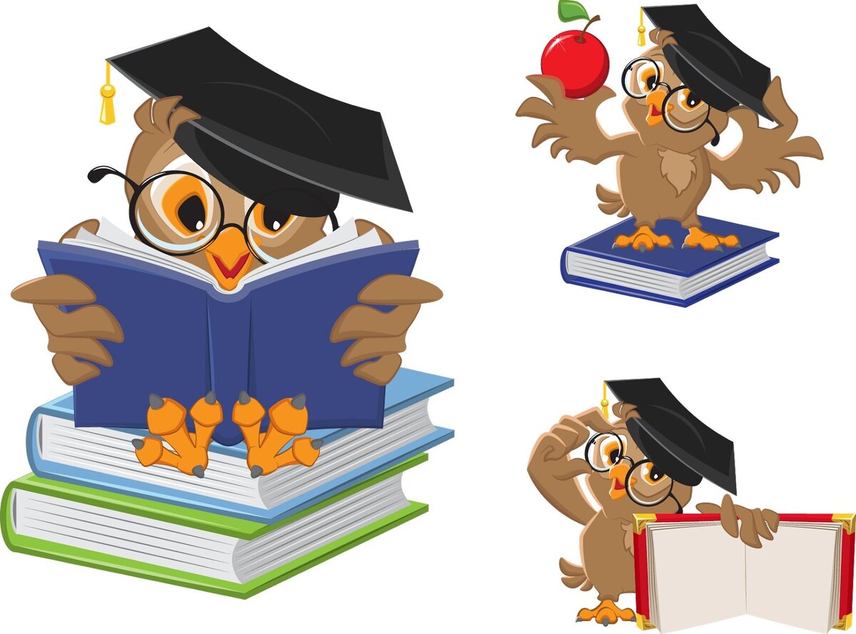 Мультяшная сова любит учиться. Будьте как мультяшная сова.