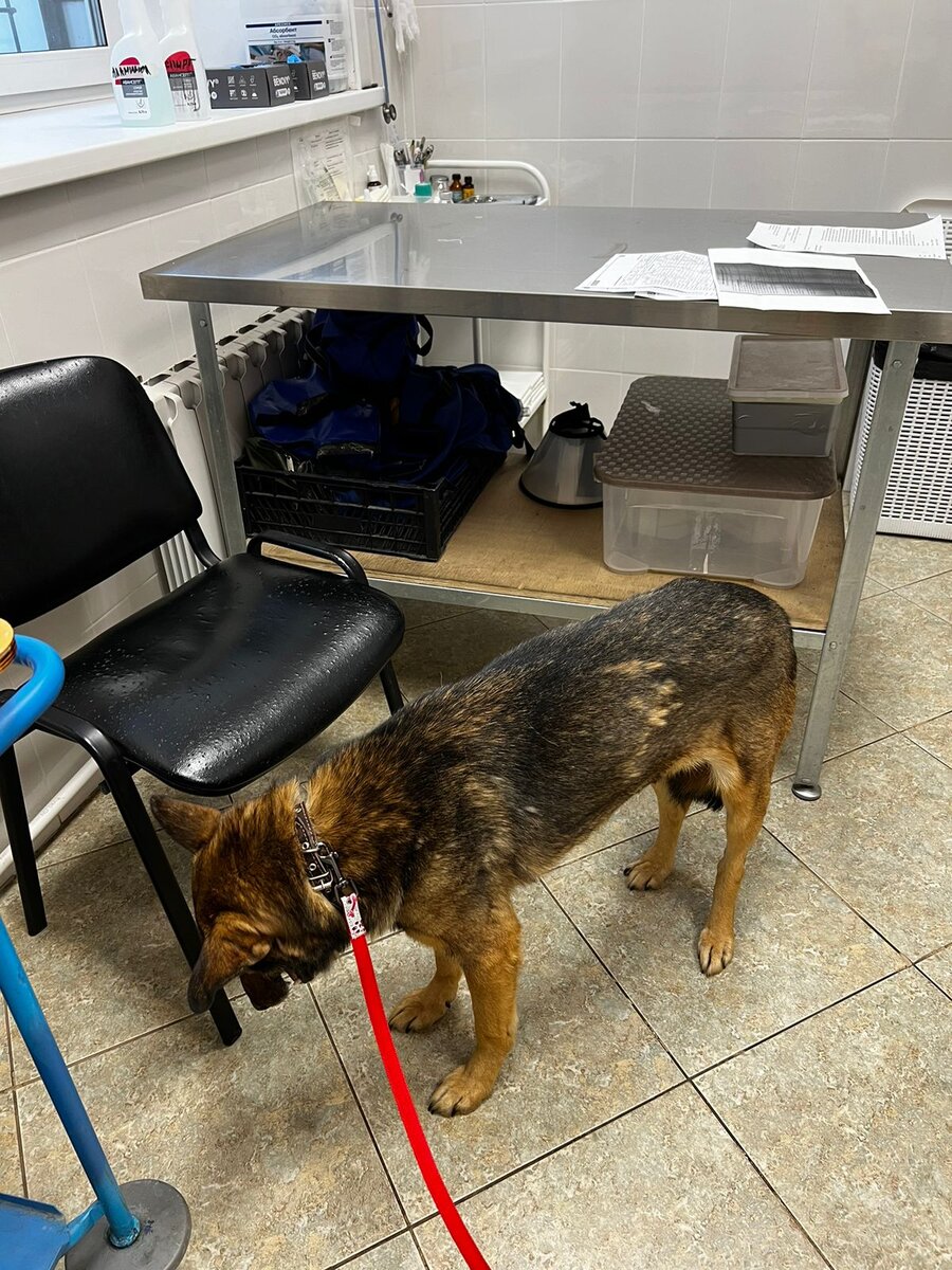 Тогда, еще не получив диагноза, мы не до конца понимали с чем связана такая его привычка не поднимать головы...