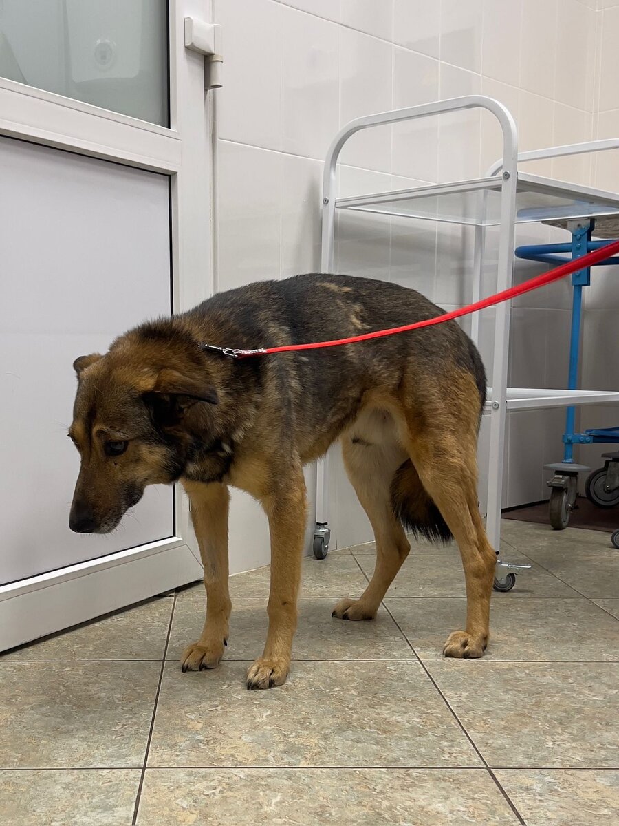 Серж до операции: видно как он склоняет голову и как-будто боиться ее поднять и мучается