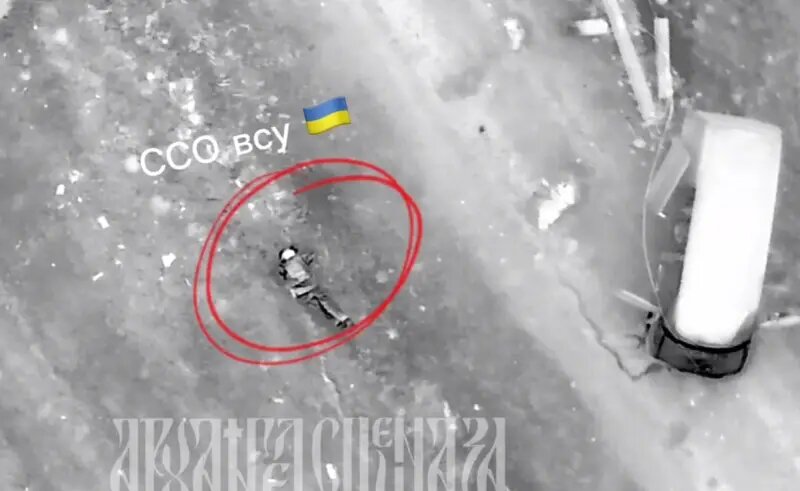 Последствия для жертвы буллинга в школе. Буллинг болезнь. Буллинг последователи. Рекомендации по предотвращению буллинга в школе. Дезинсекция помещений.