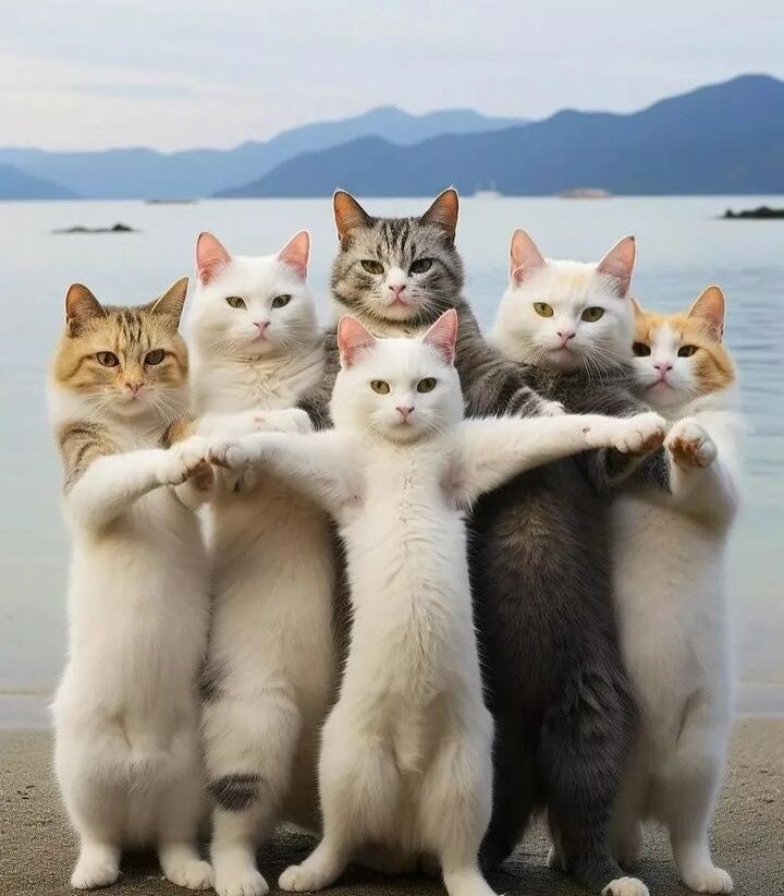 Источник Pinterest