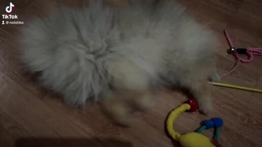 присцилла - крыжовник терпкий сладкая сирень. путь пальцем проложи ноты. евгений онегин иллюстрации к роману сон татьяны. девушка и штормовое море. позввнлй старец юрий днр.