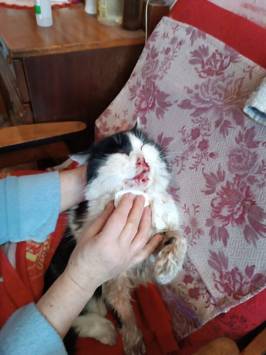 Фото Фили после избиения его извергом... 