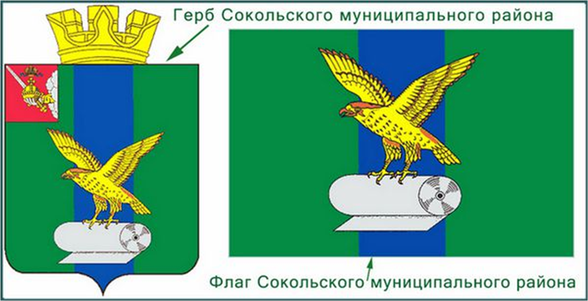 Город сокол районы. Герб города Сокол Вологодской области. Флаг города Сокол Вологодской области. Герб Сокольского района Нижегородской области. Сокольский район флаг Вологодской области.