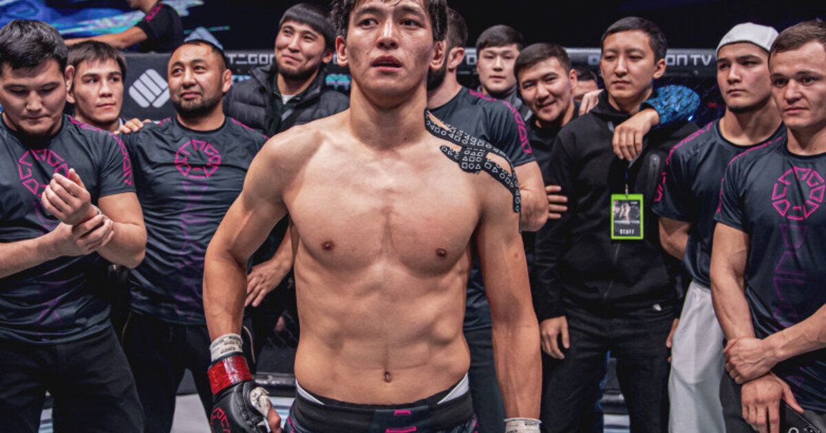 Файт найт. Fight night логотип. Тень шедоу файт 2. Журавль шедоу файт 2. Артур алискеров файт найтс.