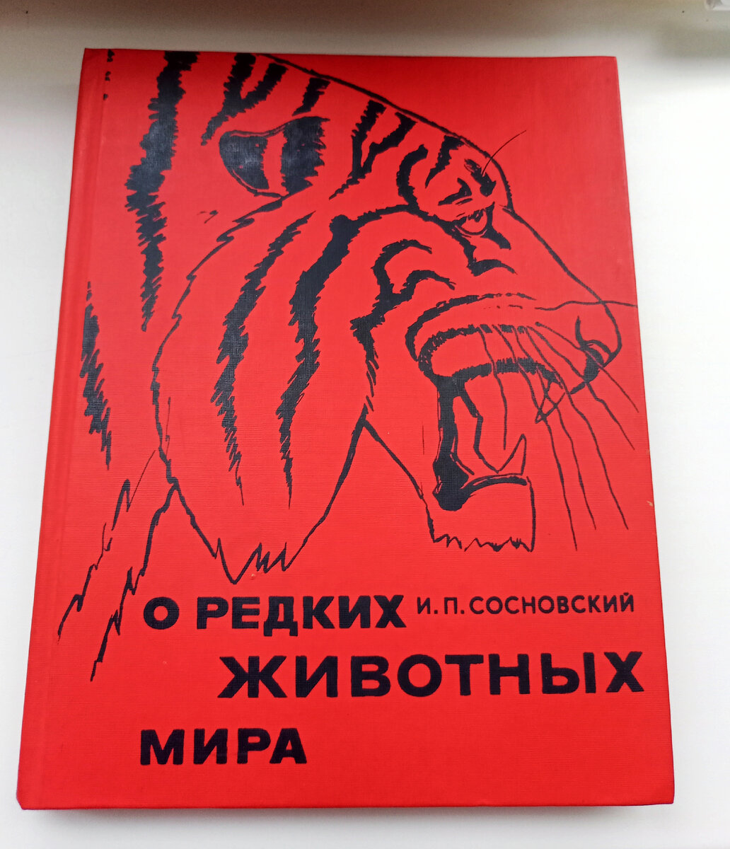 Опять не спишь всю ночь. А я опять не сплю. Люди которые не спят ночью. Опять не спала. А я опять не сплю.