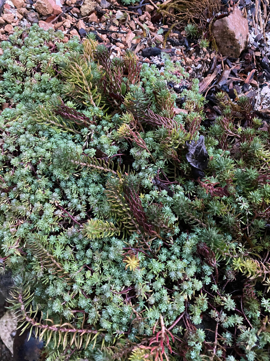 четверть часа. разница полчаса. разница полчаса. утро день вечер по часам. полезные часы сна.