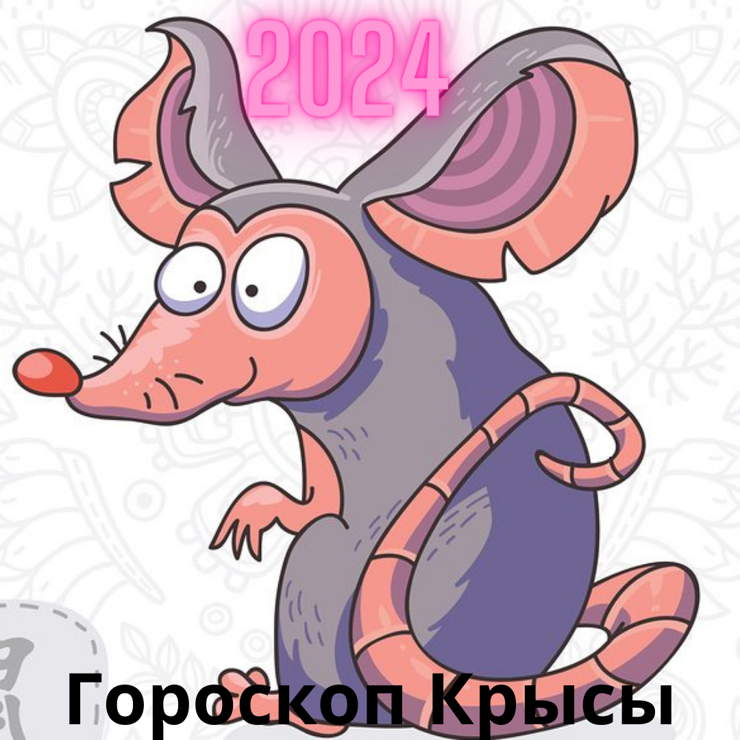 Гороскоп Крысы на 2024 год и точные предсказания фэн-шуй. | Goroskop Pro |  Дзен