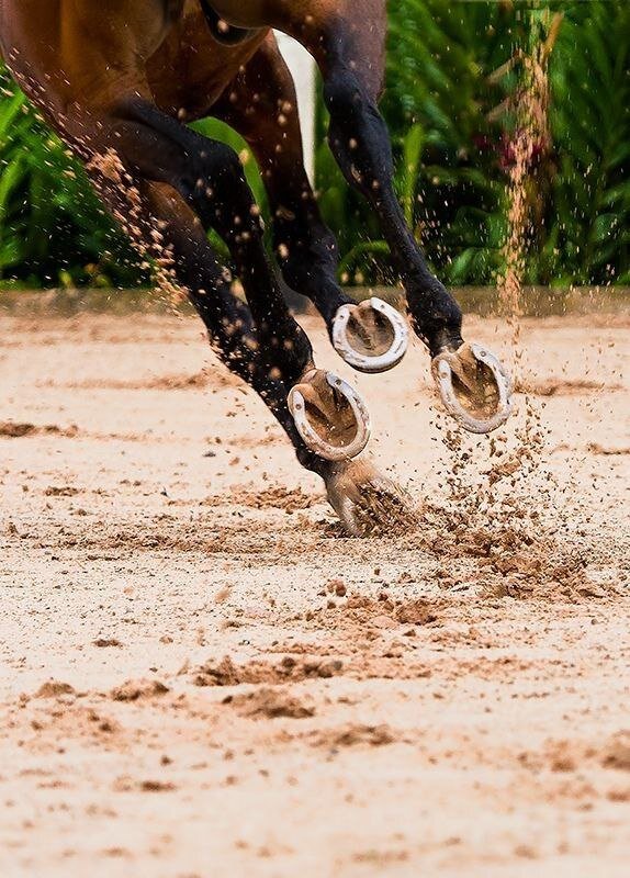 аватар легенда об аанге аанг арт. кагуцути богиня огня аниме. владетель альдеррийский дмитрий шатров читать полностью. абраксас, хранитель вселенной. магическая девушка.