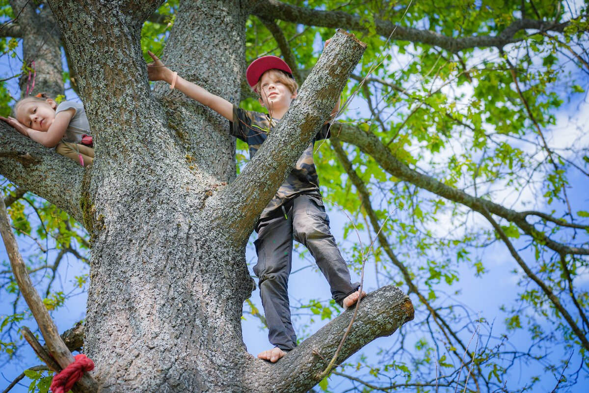 Курица с овощами. Липо подкидывай даров либо туши. Индейка тушеная с овощами. Тушем или тушим. Тушем или тушим.